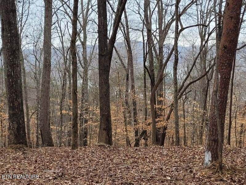  Lot 146 & 147 Lakeview Drive - Photo 1