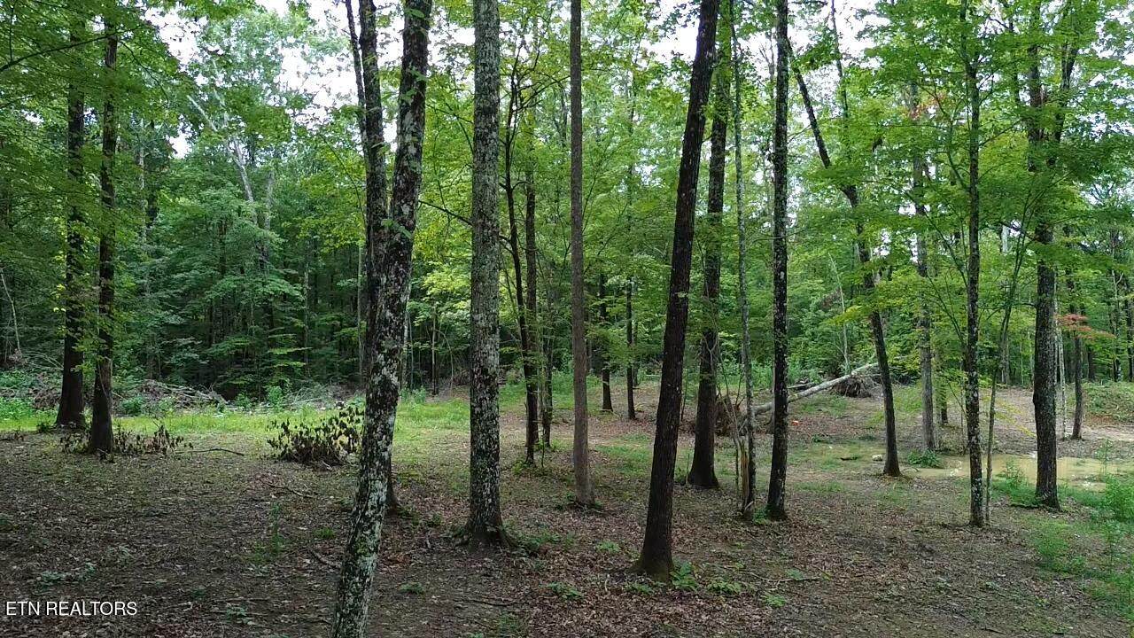  Eagle Ridge Pvt Rd - Photo 1