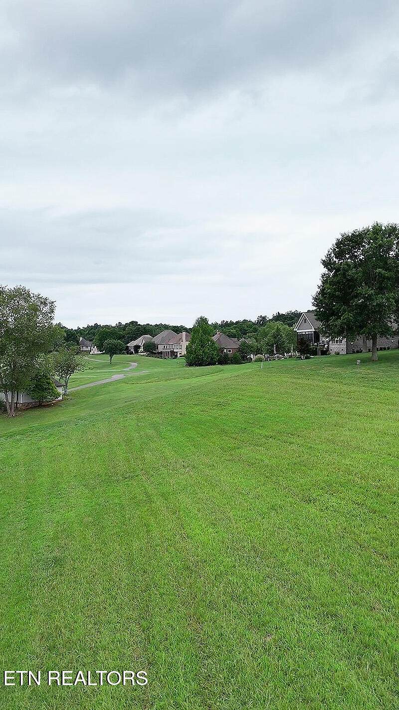 148 White Hawk Drive - Photo 1