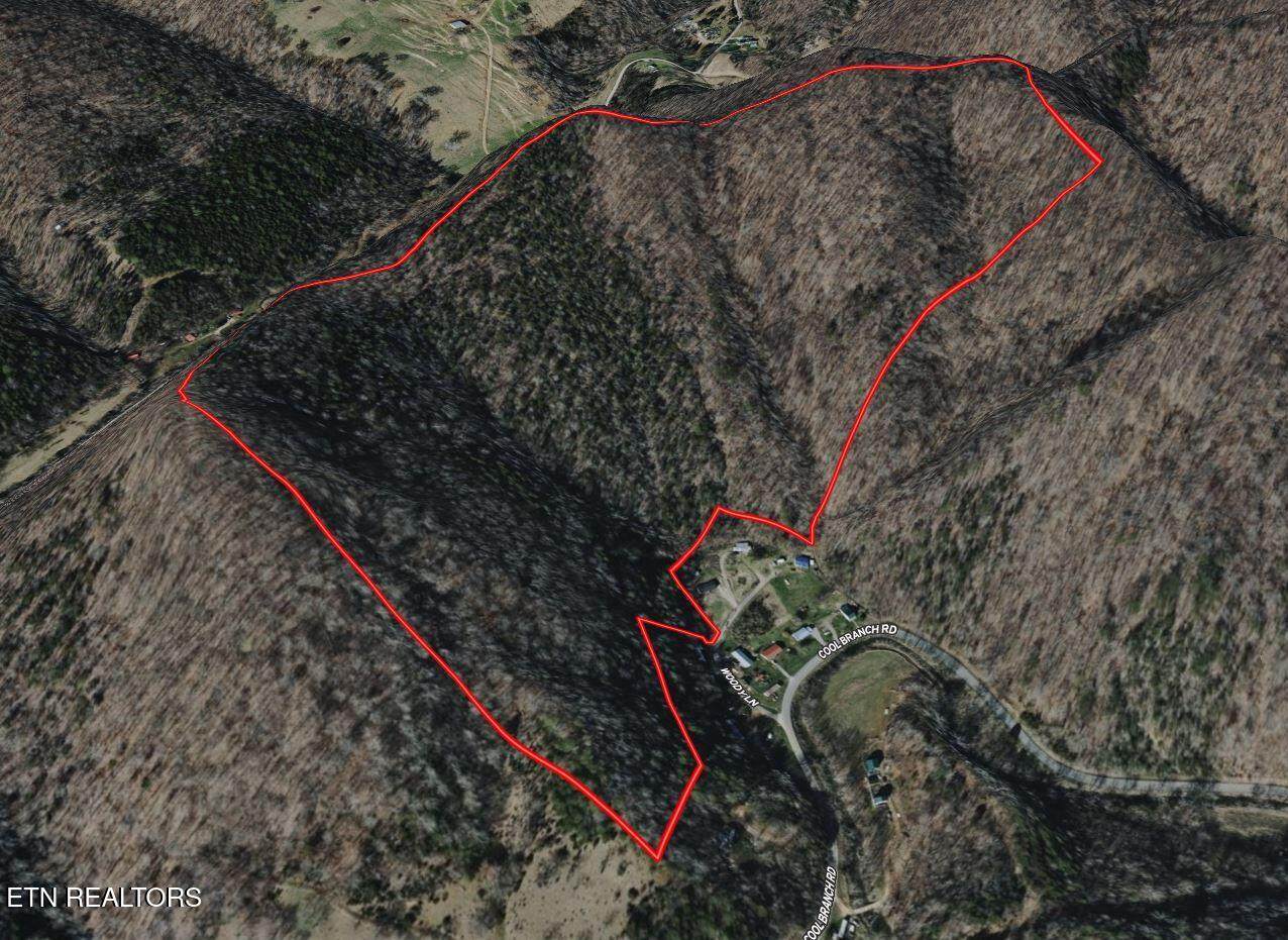  Woody Lane - Photo 1