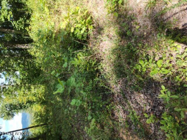 Lot 73 Tomahawk Rd - Photo 1