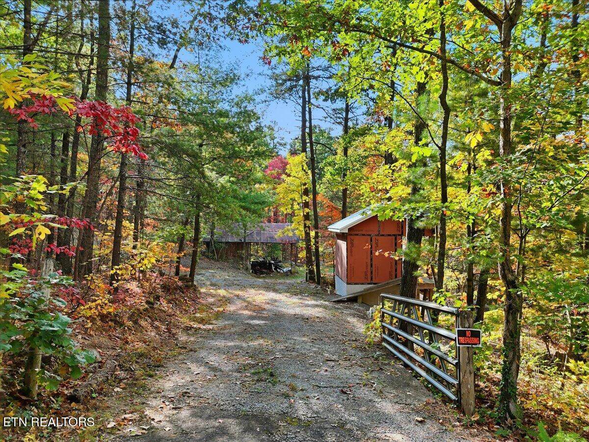 6233 Steffner Circle - Photo 1