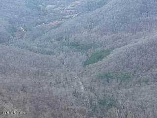  Baird Branch - Photo 1