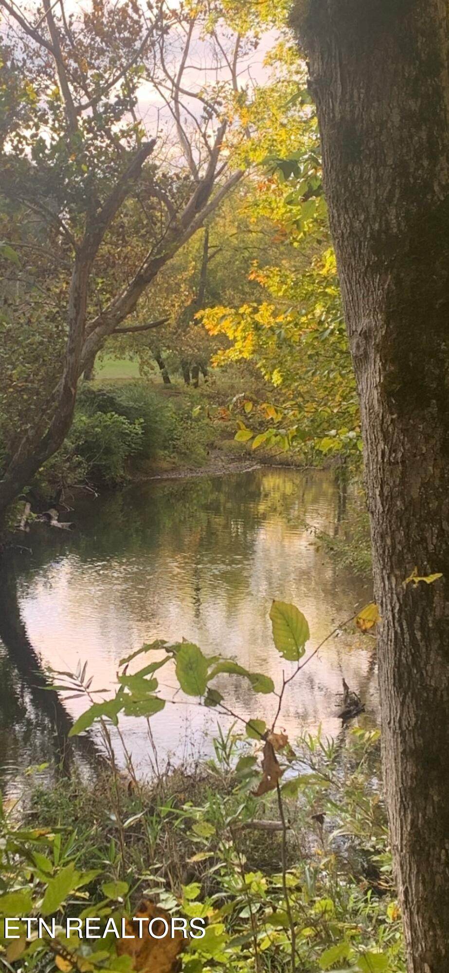 2168 Fairview Rd - Photo 1