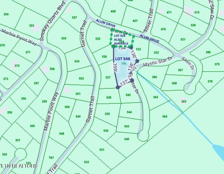  Mystic Star Dr Lot #546 Drive - Photo 1