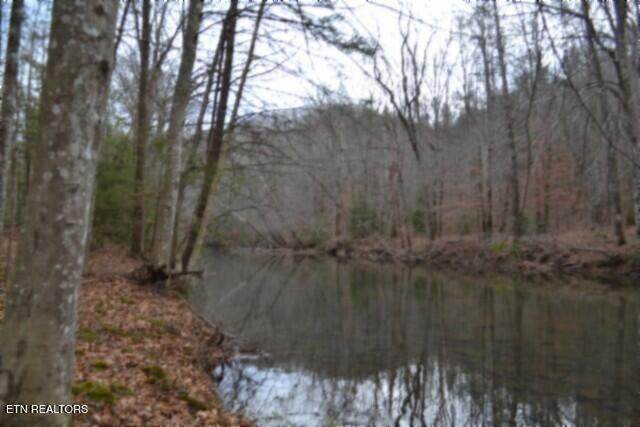 Lot 151 Steel Tram Ridge - Photo 1