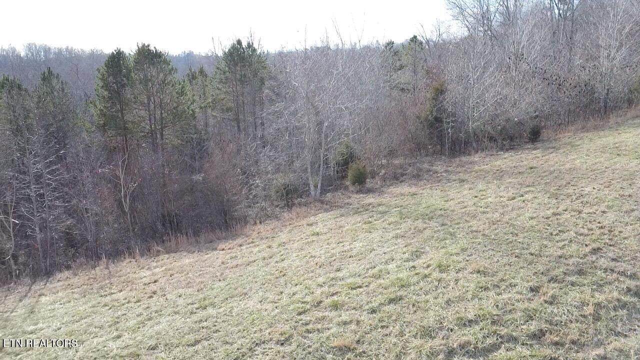 516 Cedar Gate Lane - Photo 1