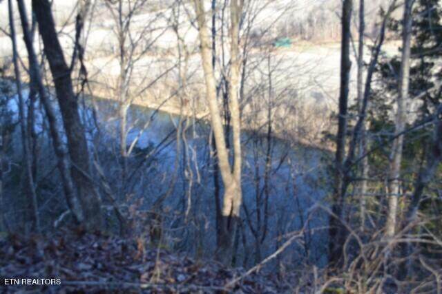 5.52ac Cabin Hill Rd - Photo 1