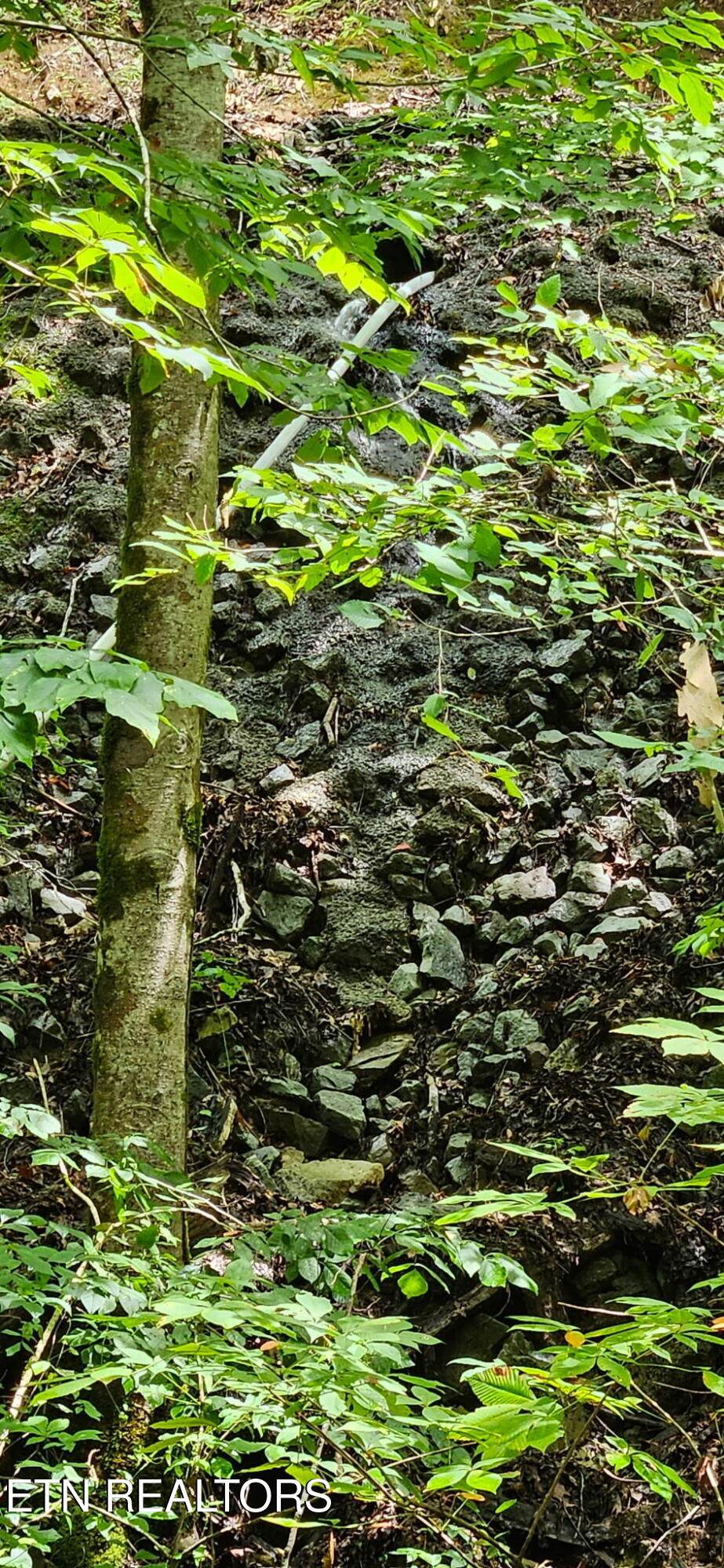 https://bt-photos.global.ssl.fastly.net/kaar/1280_boomver_2_1330426-2.jpg