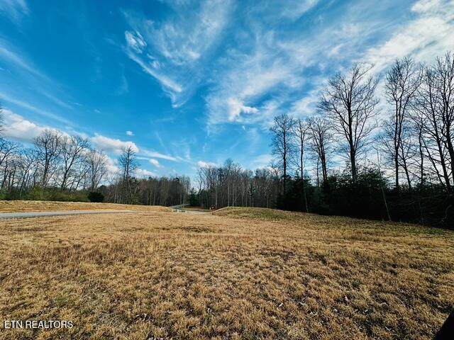  Poplar Drive - Photo 1