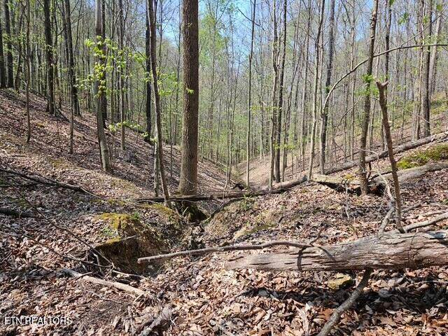 5 Acres Benton Tidwell Rd - Photo 1
