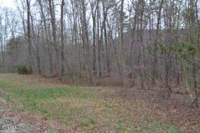Lot 14 Cheyenne Drive - Photo 1