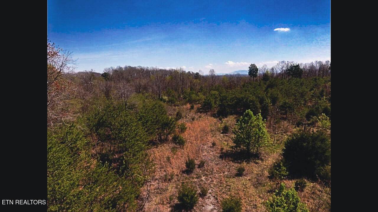 317 Mountain View Drive - Photo 1