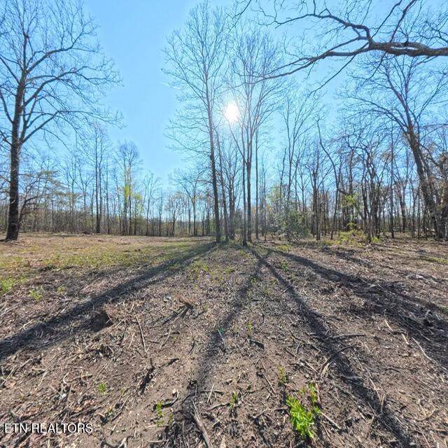  Claysville Road Lot 2 Rd - Photo 1