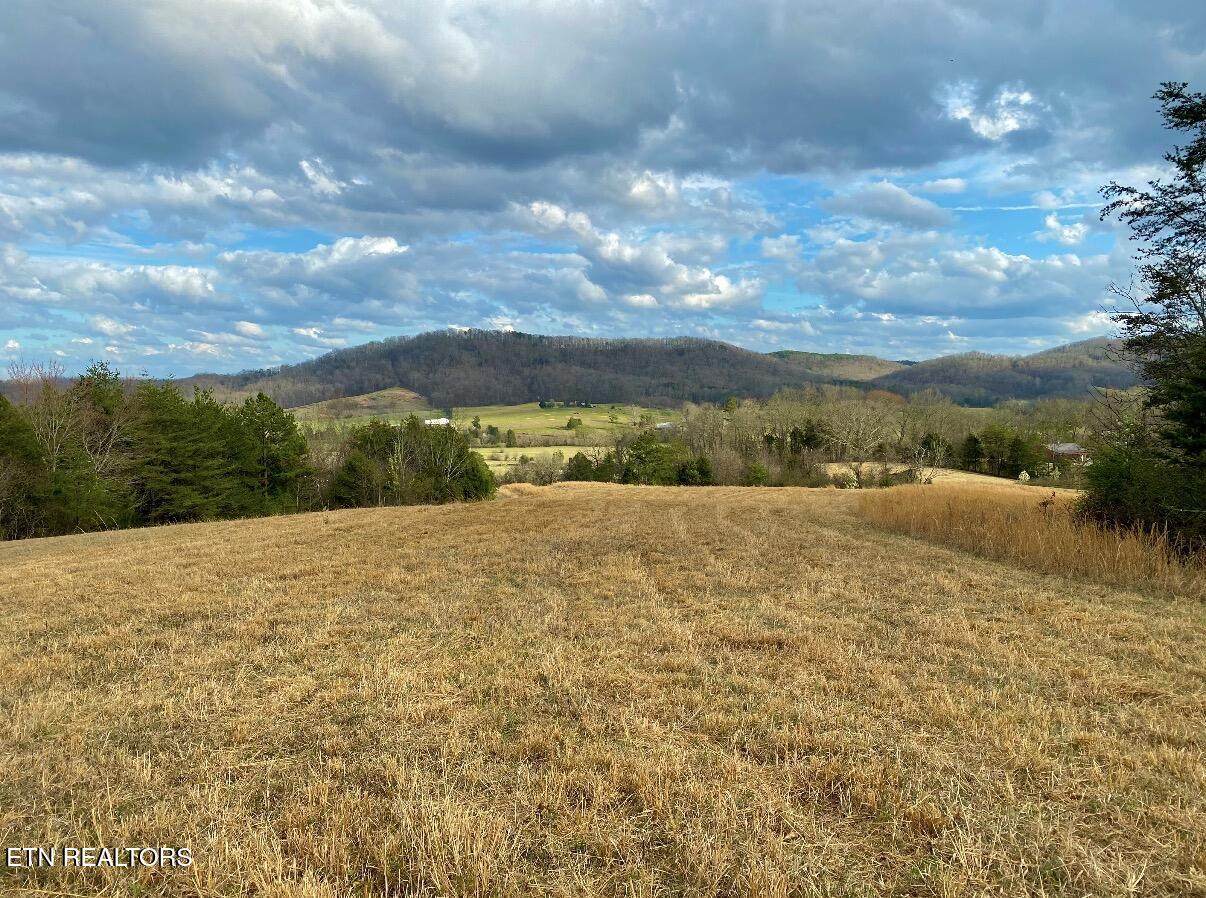 130 Mans Hollow Rd - Photo 1