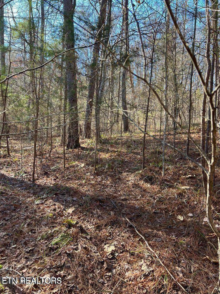 Lot 157 Laurel Lake Circle - Photo 1