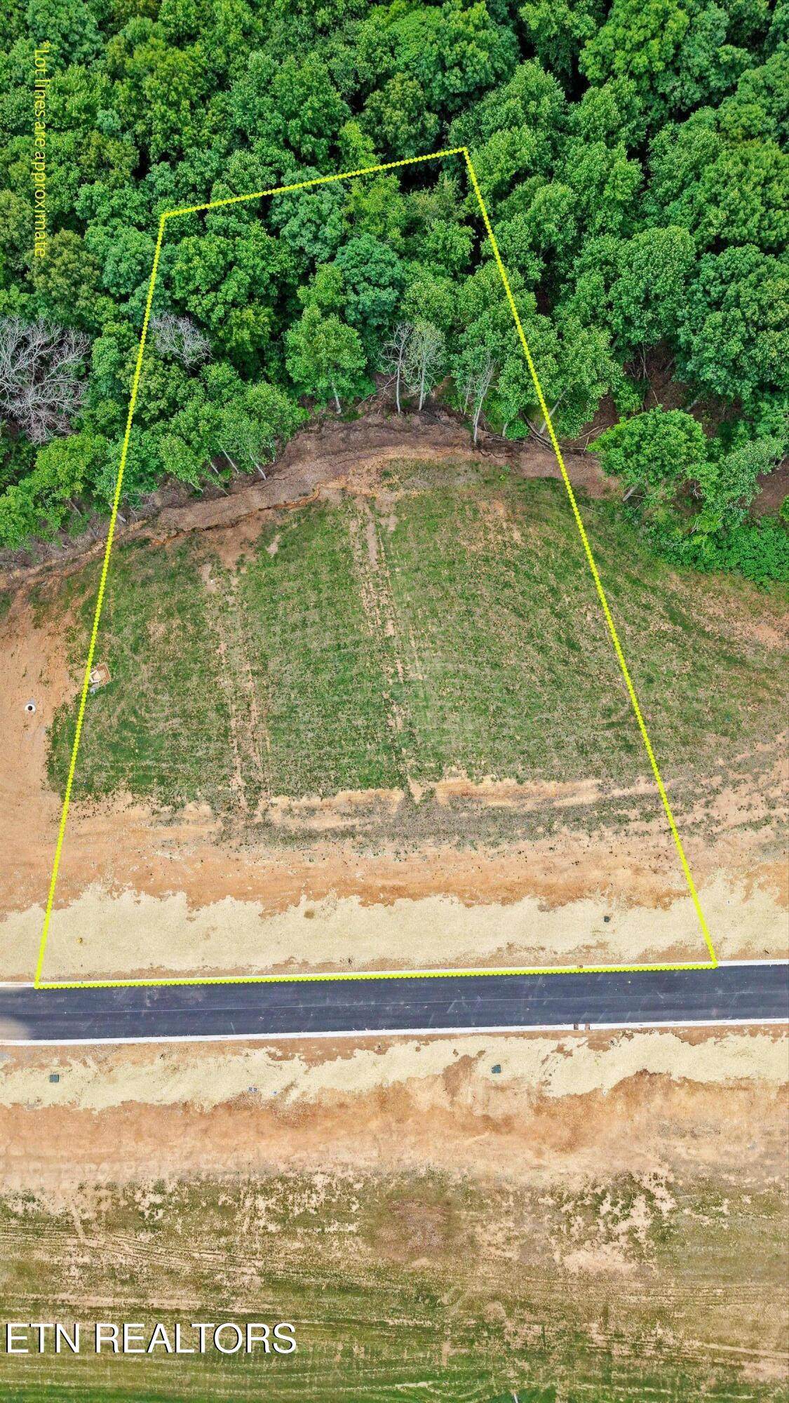 145 Canopy Trail Lane - Photo 1