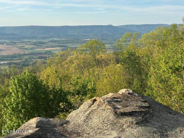 0 Gray Rock View - Photo 1