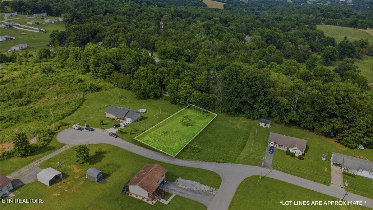  Lot 11 Jean Woods Circle - Photo 1