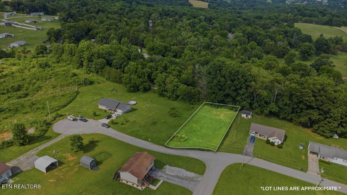  Lot 10 Leabow Circle - Photo 1