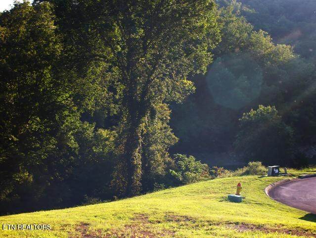 6300 Coves Edge Tr - Photo 1