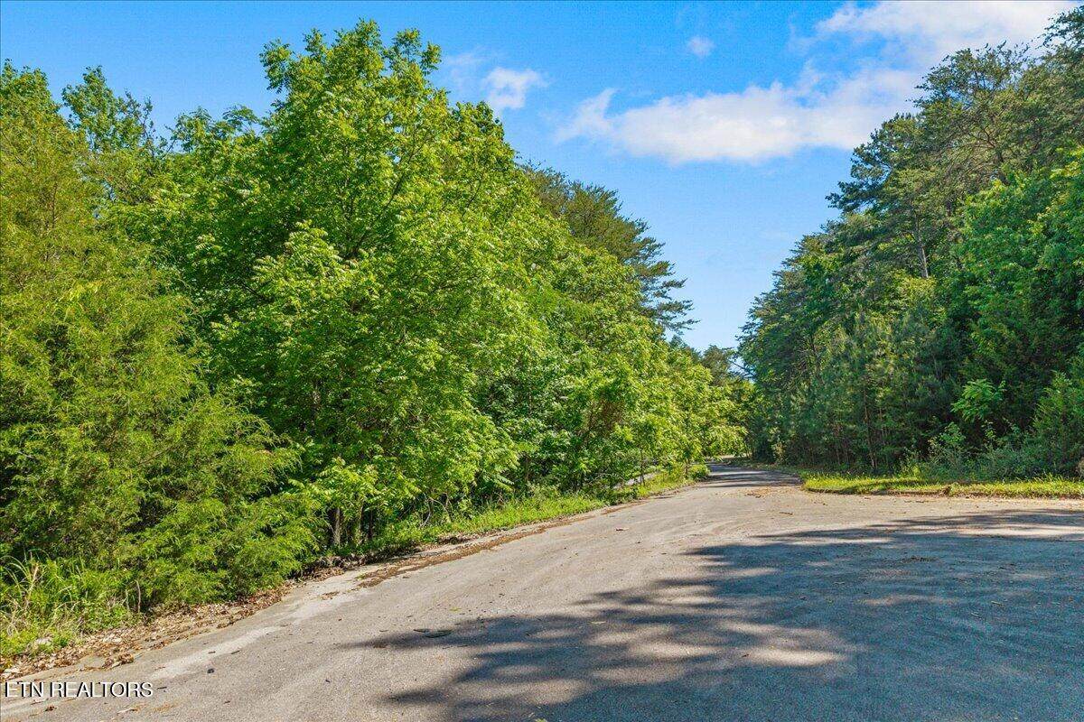 00 Elm Lot 19 Lane - Photo 1