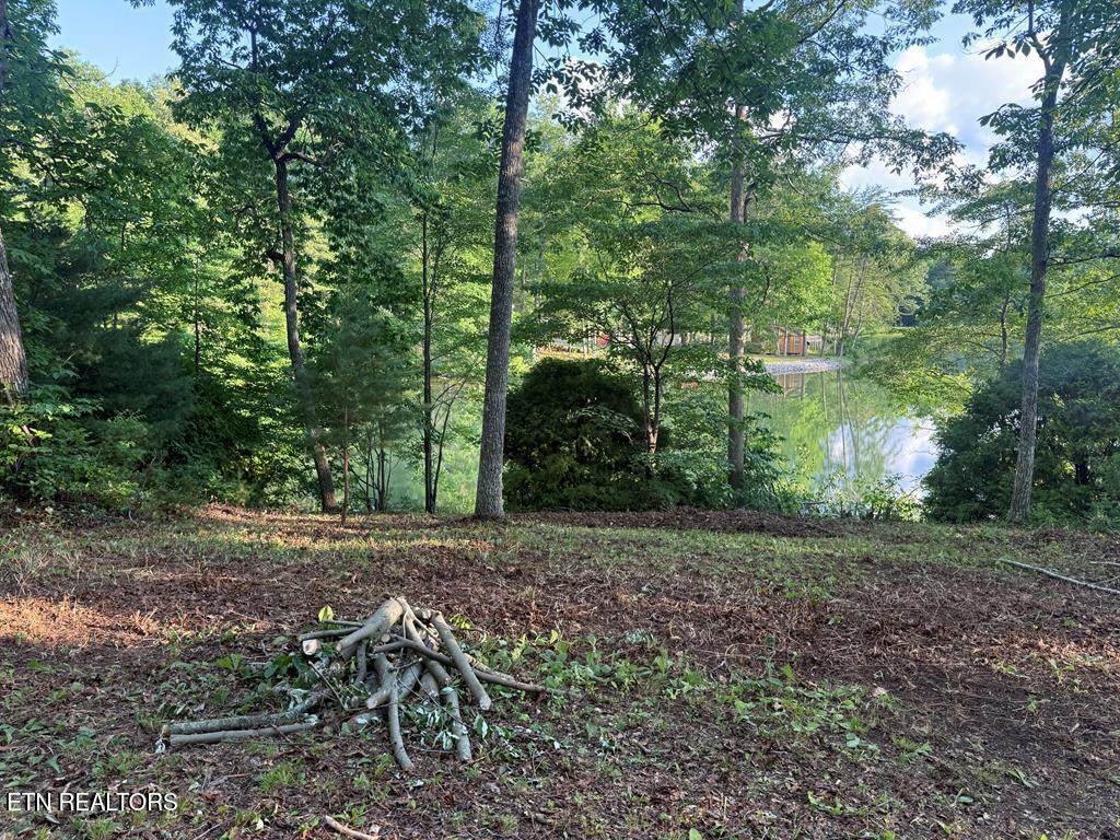 231 Crockett Lake Drive - Photo 1