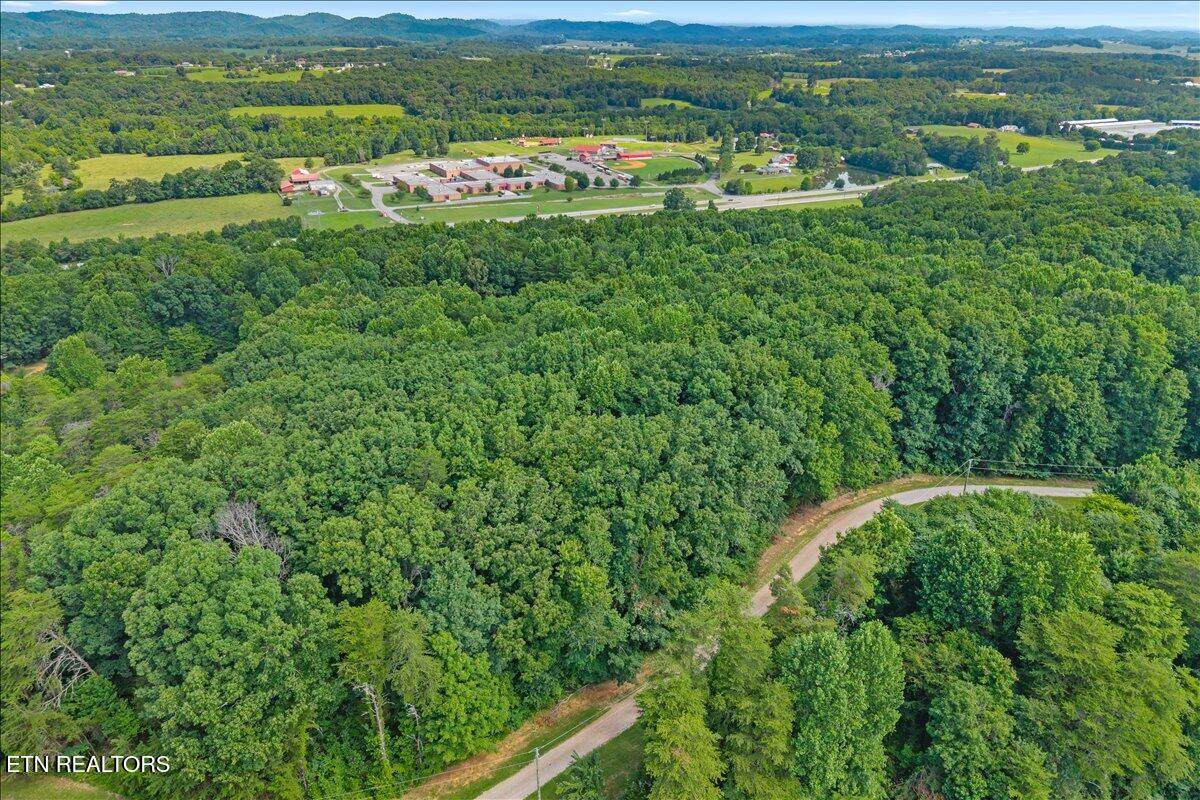  Highway 411 - Photo 1