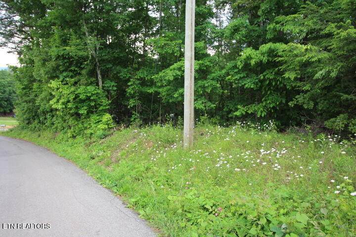 523 Rudd Hollow Rd - Photo 1