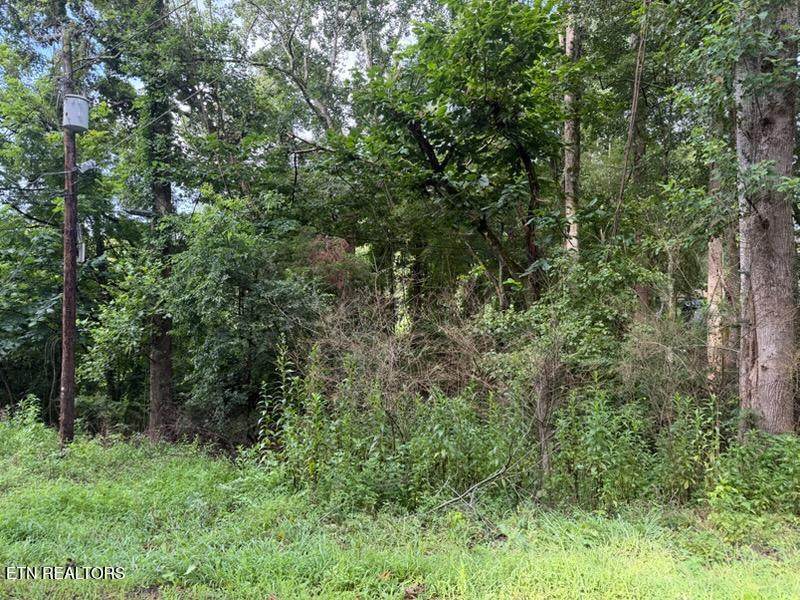  Black Jack Rd - Photo 1