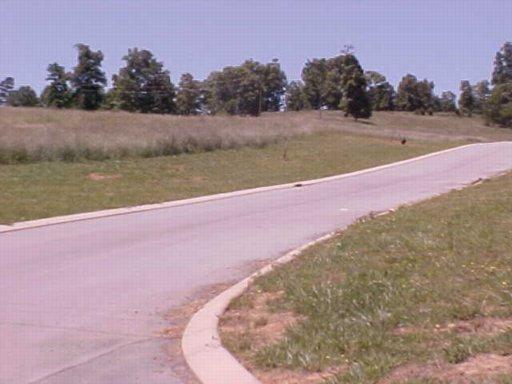 Lot 49 Chippewa Lane - Photo 1