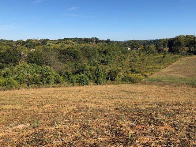 Lot 18- Mountain Vista Trail Rd - Photo 1