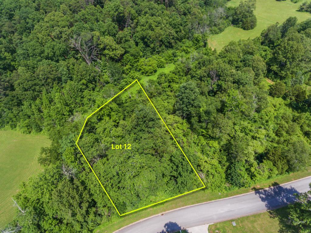 Lot 12 Autumn Woods Drive - Photo 1