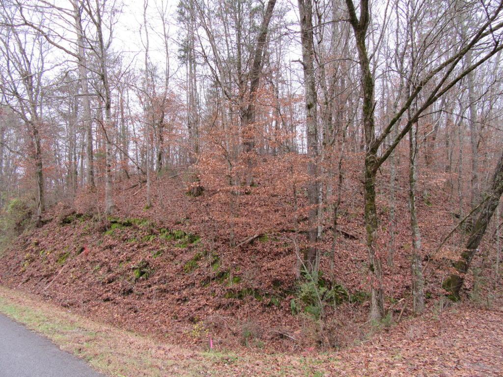 Wolf Valley Rd - Photo 1