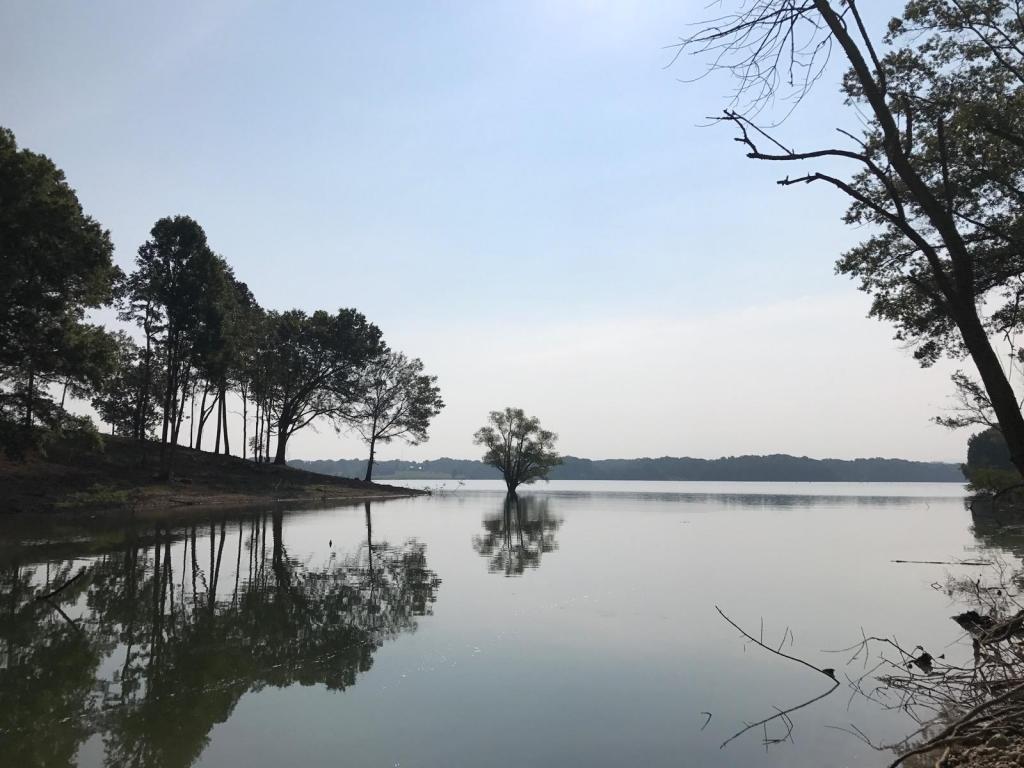 Lakeside Court - Photo 1