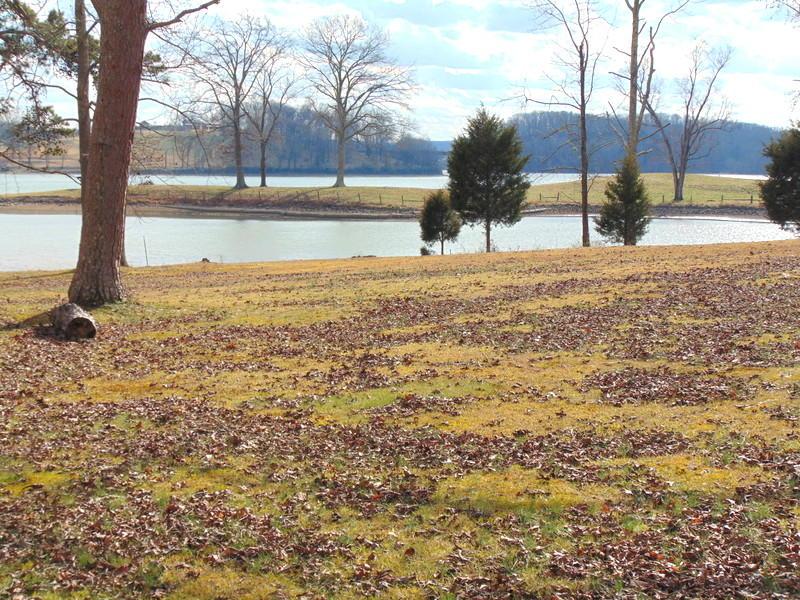629 Colonial Drive - Photo 1