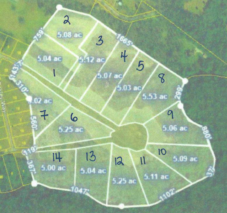 Lot 1 Houston Drive - Photo 1