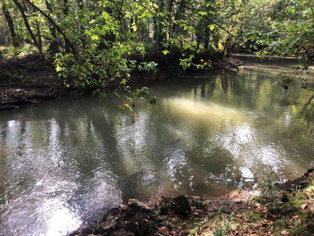 Tract 6 Athens Road - Photo 1