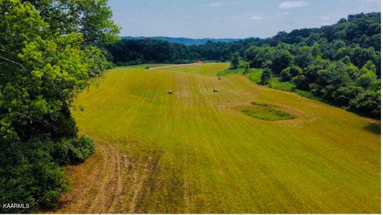 Alley Rd.-10.51 Acres (Lot #1) - Photo 1