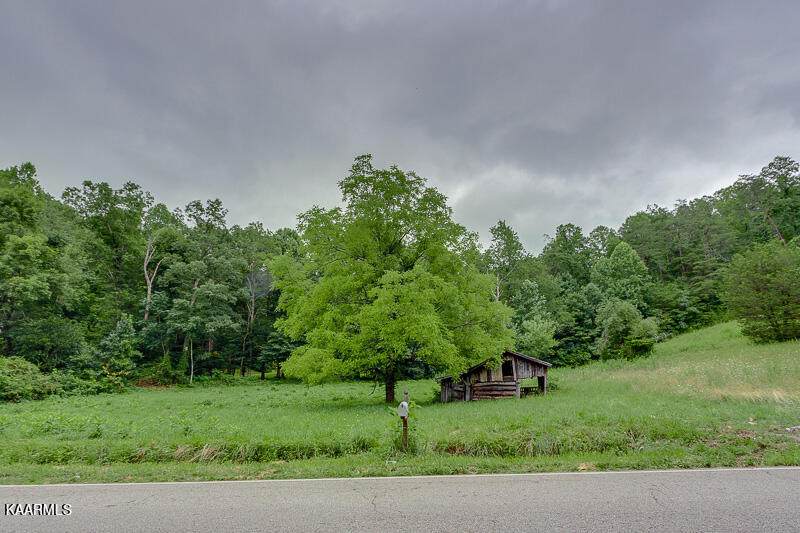 Tbd Campground Rd - Photo 1
