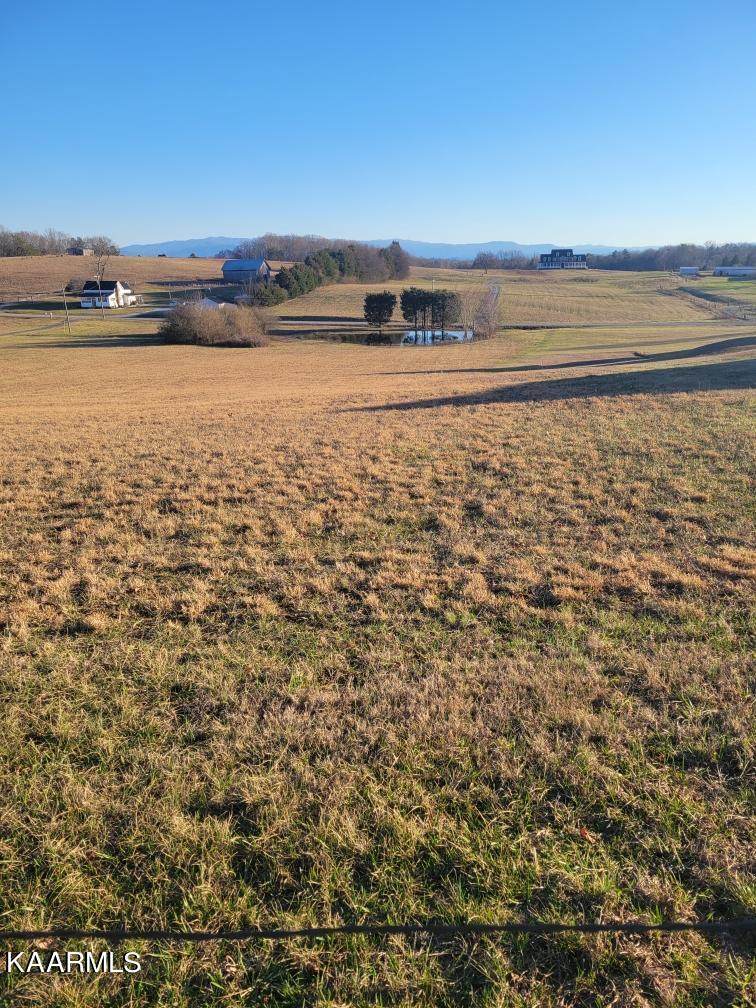 3750 Sinking Creek Rd - Photo 1