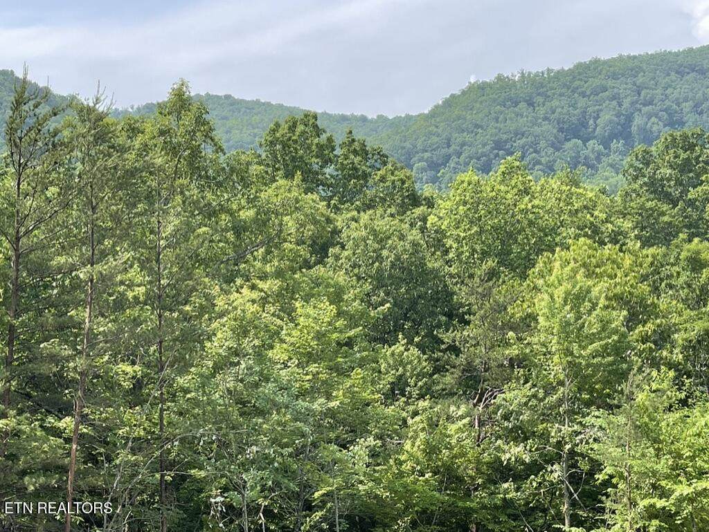 TR 5 Caney Creek (Land Only) Rd - Photo 1