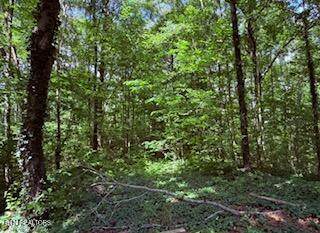  Bates Gibson Rd - Photo 1