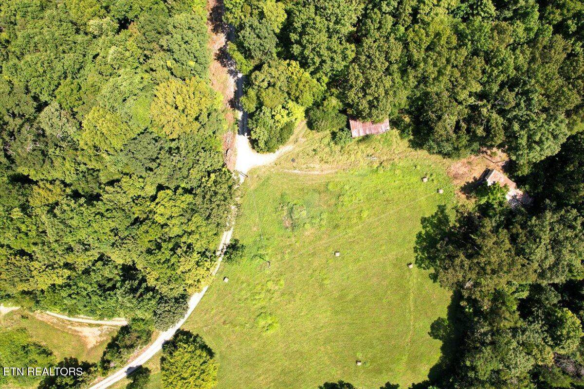  Tbd Clinch River Rd - Photo 1