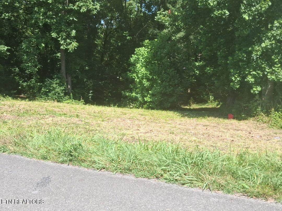 Lot 39 Idlewild Drive - Photo 1