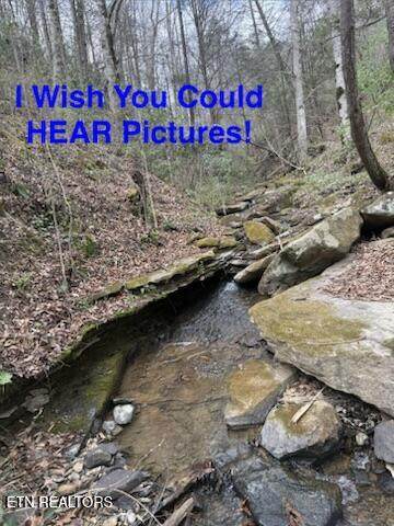 0 Hickory Creek Rd - Photo 1