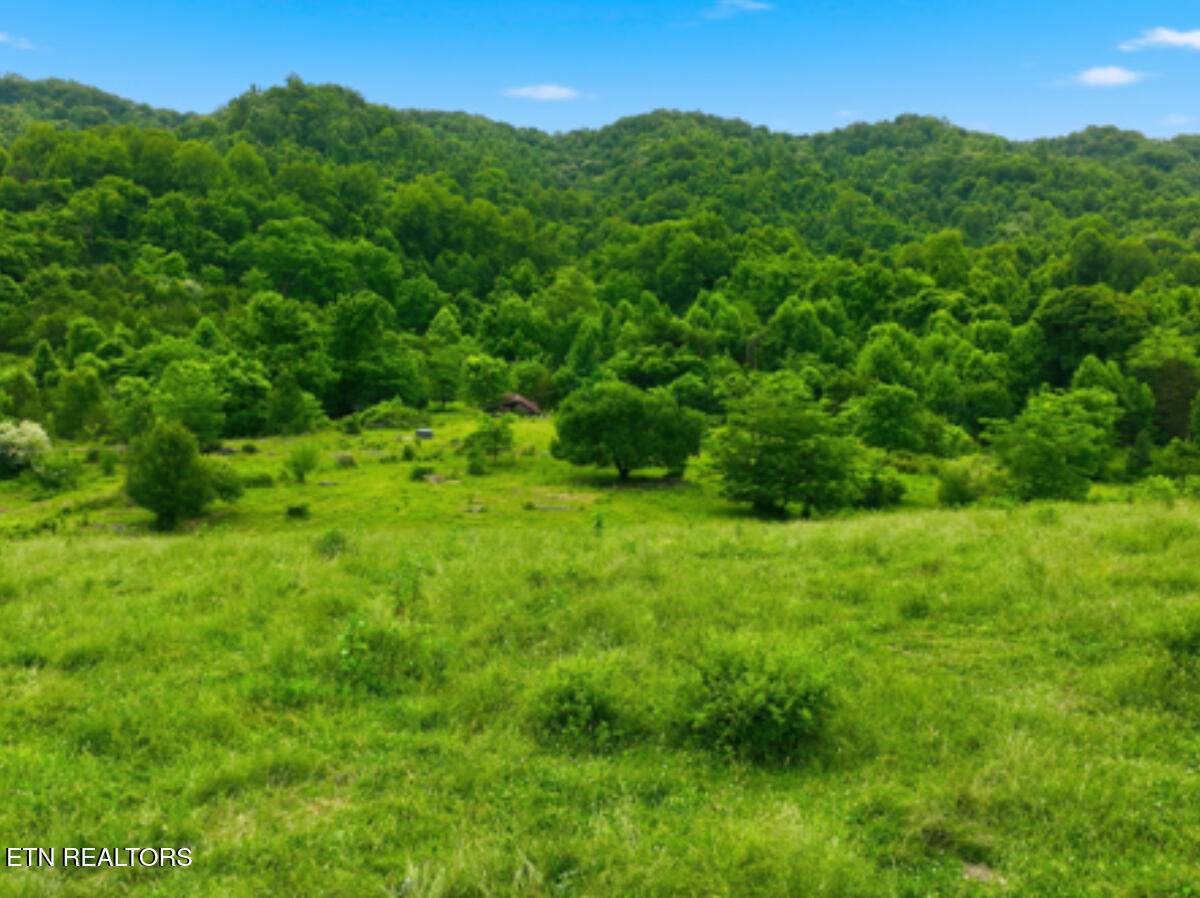 https://bt-photos.global.ssl.fastly.net/kaar/orig_boomver_3_1343740-2.jpg