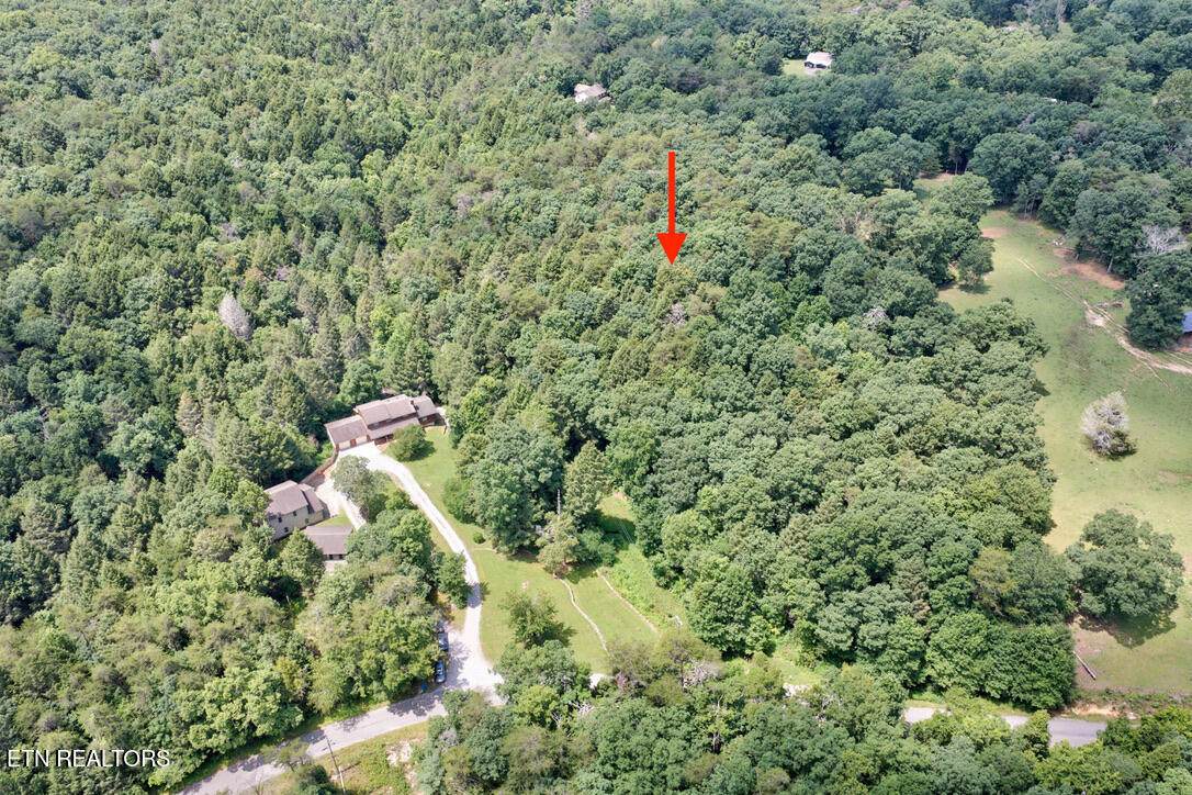 Leffle Webb Rd - Photo 1