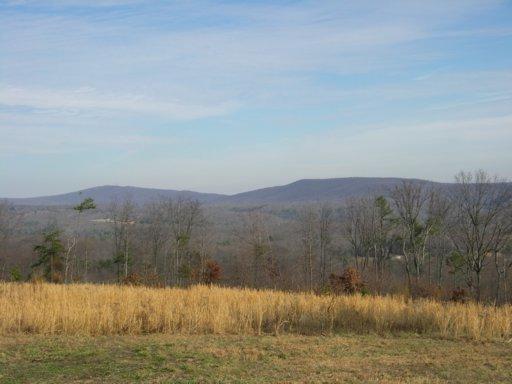 Dogwood Rd - Photo 1