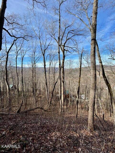 Roaring Fork Rd - Photo 1